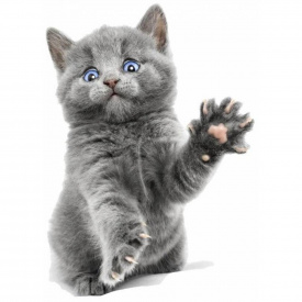 Наклейка 3D UKC в туалет Котик KH-06 29x21 см