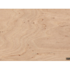 Фанера ФК 1525x1525x9 мм 1/2 (B/BB) ЭКО ЛЕС (собственное производство)