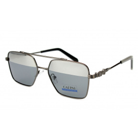 Окуляри для водіїв Cai Pai W108-C2 Сірий (23513)
