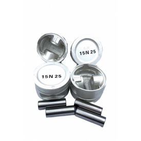 Комплект поршнів OEM Daewoo Lanos Nubira 0.25 з пальцями (93740219)