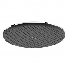 Верхній душ Hansgrohe Raindance Alive S 300 1jet EcoSmart хром (24521000)