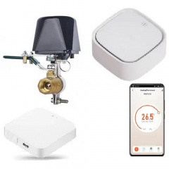 Розумний захист від витоку газу 1DAL датчик метану CH4 + ZigBee привод на кран + ZigBee хаб (SGLP.ZB) Владимир-Волынский