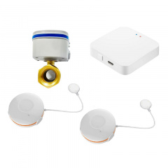 Бездротова система захисту від протікання води 1DAL StandartKit 1/2" (STKT12) Изюм