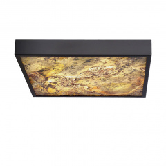 Стельовий світильник Candellux Luxan 39x39x5 см Чорний (10-17079) Київ