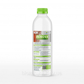 Перетворювач іржі АЛАНА Renova 1 кг, Україна