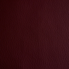 Диван офісний Tobi Sho Арне з підлокітниками 1580х700х740 мм, шкірзам Bordo/2223 Косів