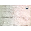 Матрас Sleep&amp;Fly ортопедический пружинный GA Online ComFort Hard 190x140 см Енергодар