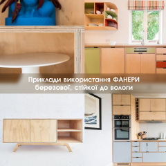 Фанера березовая водостойкая ФСФ — 18 мм 2,500х1,250 м Миргород