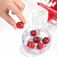 Удалитель косточек для вишни No Brand 19.5x11x6 см на 6 ягод Красный (CHKIST-RED-1284) Черновцы