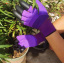 Садовые перчатки Garden gloves фиолетовые 119-8628569 Рівне