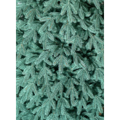 Ялинка штучна лита Лапландська блакитна 1,8 м + підставка Куп'янськ