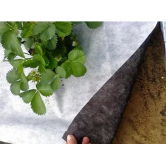 Агроволокно Shadow 50 г/м2 1.07x50 м Черно-белый (2643707417) Надворная