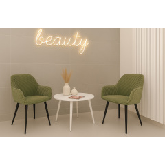 Комплект стульев обеденных Линн М-240 (2 шт.) с подлокотниками, для столовой, кухни, вельвет Игуана/черный, 850х580х580 мм Миргород