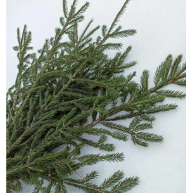 Елочные ветки натуральные