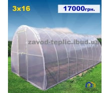 Теплиця з плівкою 3х16