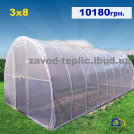 Теплица с пленкой 3х8