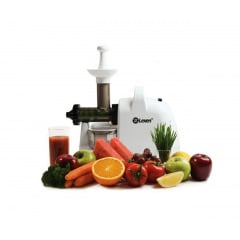 Lexen Healthy Juicer Electric шнековая соковыжималка, серый Київ