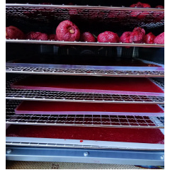 Силиконовый коврик для пастилы Tekhniko SFT-02 Луцк