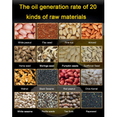 Олійний прес комерційний Tekhniko OP-18 Київ