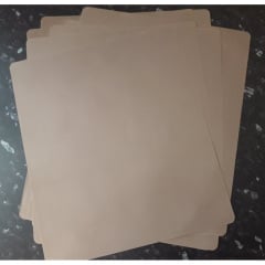 Антипригарний килимок для дегідратора Biochef Savanaa Dehydrator 6/9/12 - Non Stick Sheet Бровари