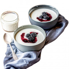 Йогуртница - сыроварка Rommelsbacher JG 80 Jona Каменское