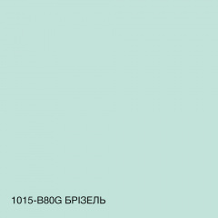 Краска силиконовая для влажных помещений Skyline 1015-B80G Бризель 3 л (2589082066) Кривой Рог