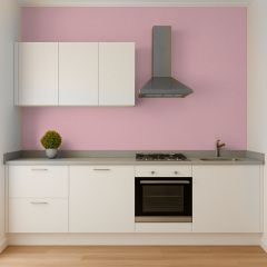 Краска силиконовая для влажных помещений Skyline 2020-R10B Артенора 5 л (2589082043) Бровары