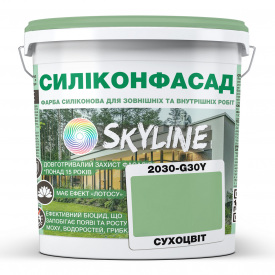 Фарба фасадна силіконова Skyline Силіконфасад 2030-G30Y Сухоцвіт 1 л (2595724999)