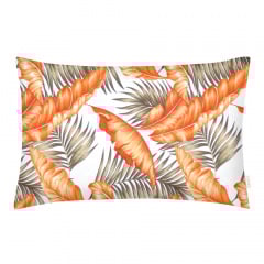 Полутораспальный комплект COSAS ORANGE PALMS Ранфорс 160х220 см Оранжевый Молочанск