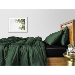 Евро постельное белье сатин GREEN CS4 COSAS Зеленый 200х220 см Еланец