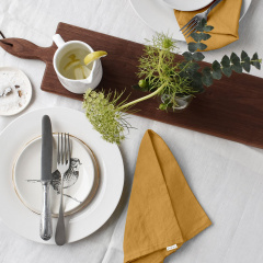 Набір серветок COSAS CURCUMA Ранфорс 35х35 см 2 шт Гірчичний Дніпрорудне