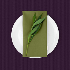 Скатерть на стол водоотталкивающая COSAS 160х300 INK Киев