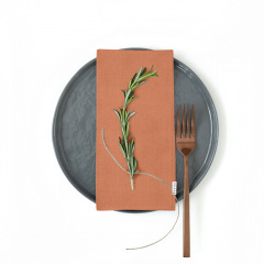 Набор салфеток COSAS AMBER Ранфорс 35х35 см 2 шт. Шепетовка