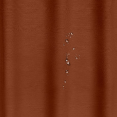 Шторка для душа и ванной COSAS CINNAMON с кольцами 180х200 см Коричневый Кропивницкий