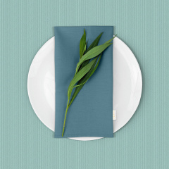 Скатертина на стіл водовідштовхувальна COSAS 100х140 AGAVE Київ