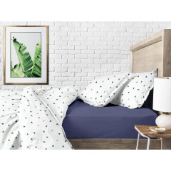 Семейная постель с простыней на резинке Delta CS2 COSAS Белый 2х160х220 см Первомайск