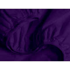 Семейный комплект на резинке COSAS DARK PLUM Ранфорс 2х160х220 см Фиолетовый Васильков
