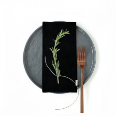 Набір серветок COSAS BLACK SATIN Сатин 30х30 см 2 шт Чорний Пологи