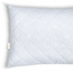 Подушка 50x70 SILICONE COSAS Білий Вільнянськ