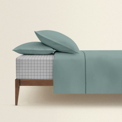 Євро постіль з простирадлом на гумці Agave CS1 COSAS Агава 200х220 см Долина