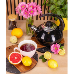 Чайник для плиты Boiling Water 2,5л black Kamille DP262127 Бородянка