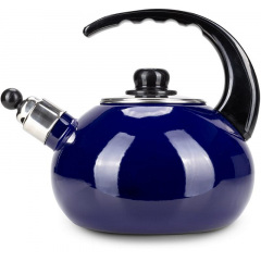 Чайник для плиты Boiling Water 2,5л blue Kamille DP262129 Ромны