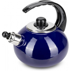 Чайник для плиты Boiling Water 2,5л blue Kamille DP262129 Ромны