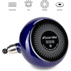 Чайник для плиты Boiling Water 2,5л blue Kamille DP262129 Ромны