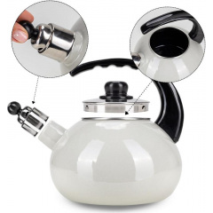 Чайник для плиты Boiling Water 2,5л beige Kamille DP262128 Вараш