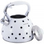 Чайник для плиты из нержавеющей стали 3л white with black polka dots Kamille DP262110 Конотоп