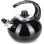 Чайник для плиты Boiling Water 2,5л black Kamille DP262127 Бородянка