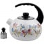 Эмалированый чайник для плиты Butterflies из нержавеюшей стали 2,5л Kamille DP262122 Гуляйполе