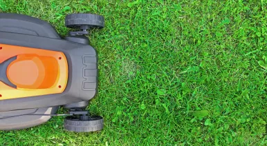 Електричні газонокосарки: переваги та недоліки