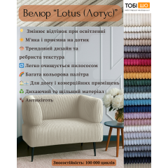 Диван офісний Tobi Sho Бенно-1 з підлокітниками для офісу, вітальні 1200х720х750 велюр вельвет Lotus 15/GREY BROWN Київ